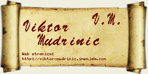 Viktor Mudrinić vizit kartica